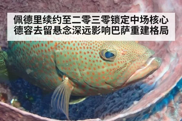佩德里续约至二零三零锁定中场核心 德容去留悬念深远影响巴萨重建格局