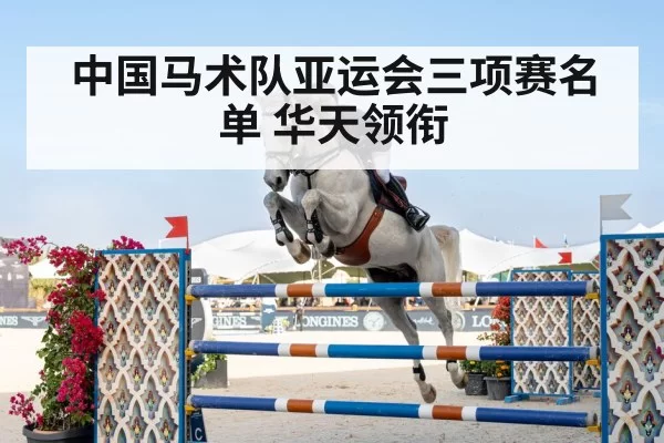 horse show jumping